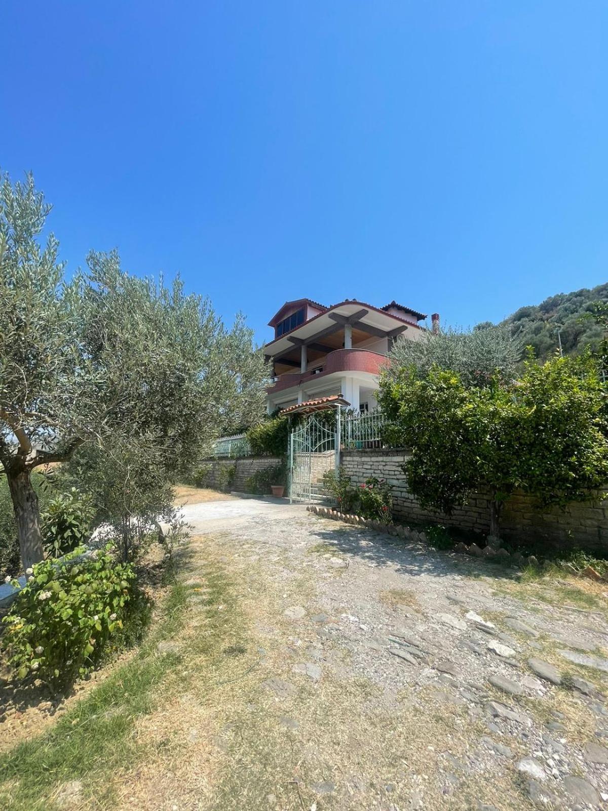 Georgemishel Guest House بيرات المظهر الخارجي الصورة